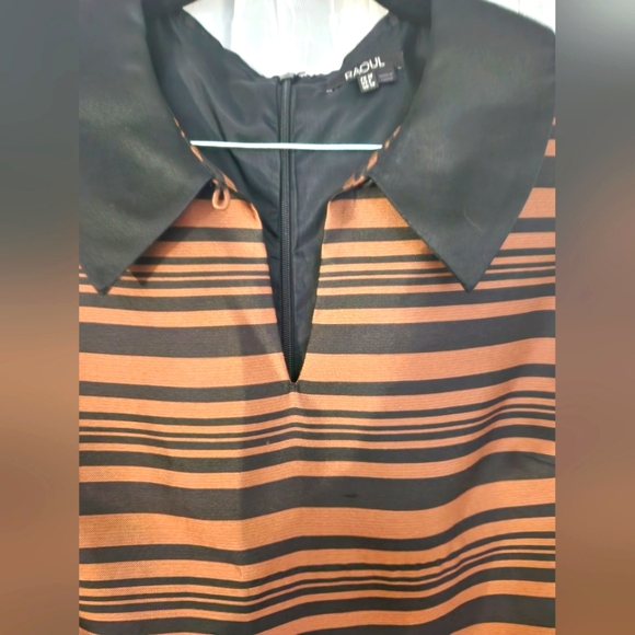 EUC Raoul 75%Silk Sleeveless Dress w. Peter Pan slight v-neck collar… - Picture 4 of 9